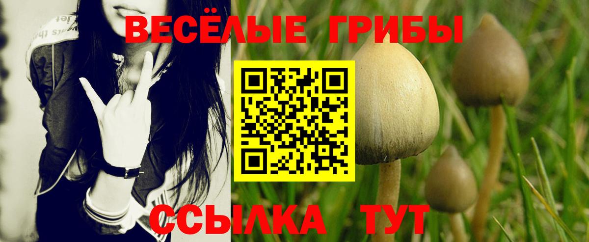 Галлюциногенные грибы MAGIC MUSHROOMS Верхний Уфалей