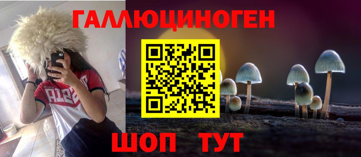 Верхний Уфалей  Псилоцибиновые грибы Cubensis  Вход с VPN  Псилоцибиновые грибы мухоморы 